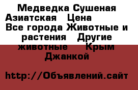 Медведка Сушеная Азиатская › Цена ­ 1 400 - Все города Животные и растения » Другие животные   . Крым,Джанкой